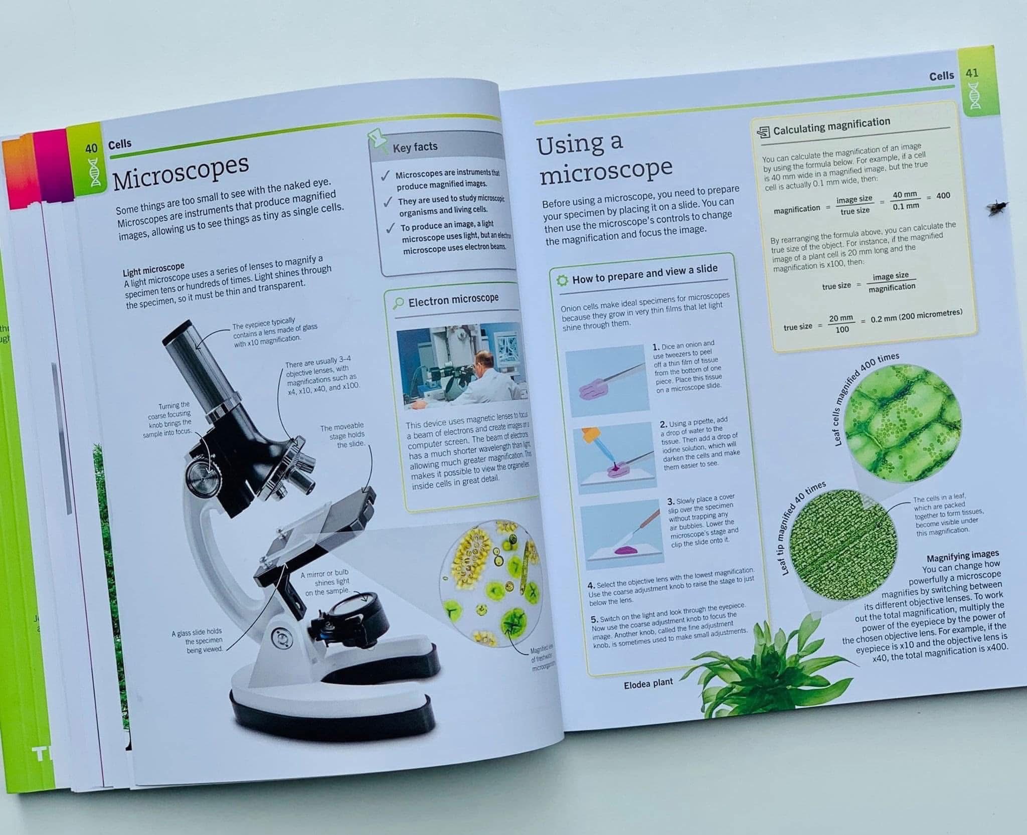 666107225_2004214530522791_7399908934261280283_n