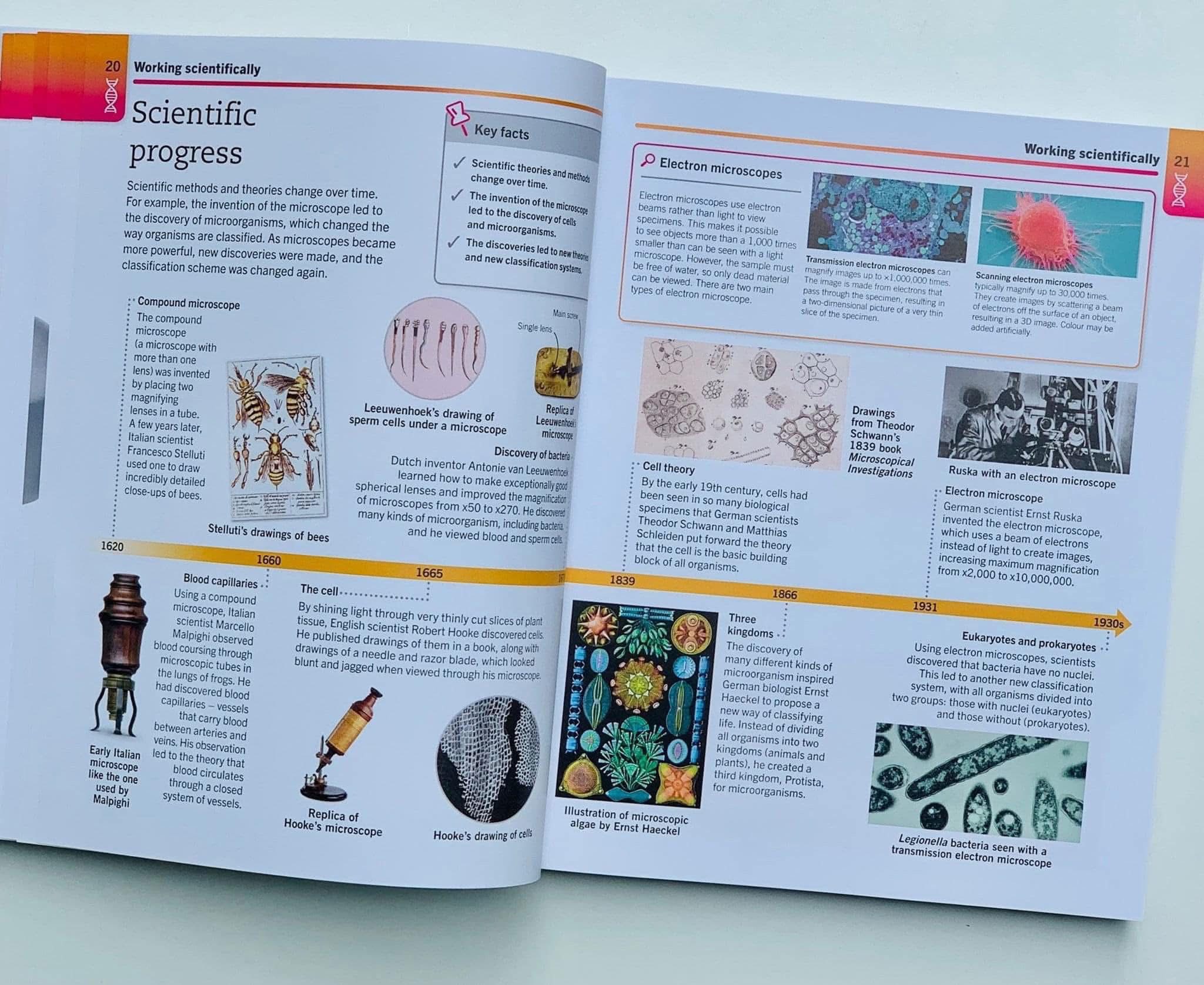 667863426_2004214217189489_6443671236536851464_n