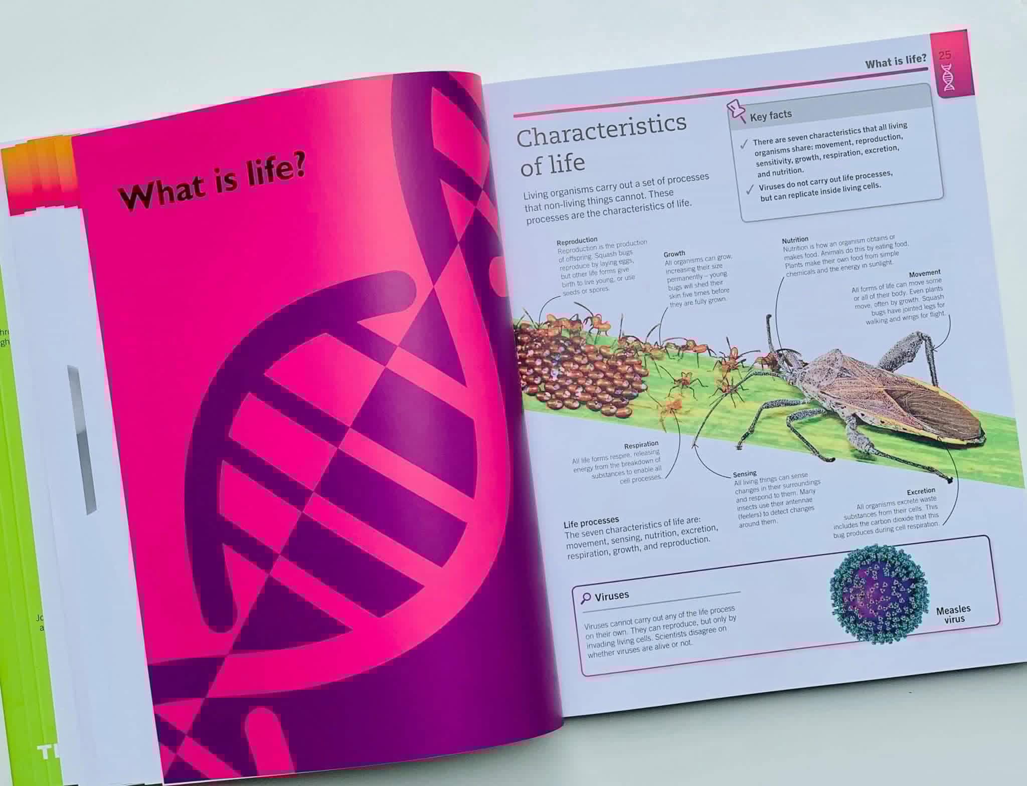 668330363_2004214243856153_1412001817319224023_n