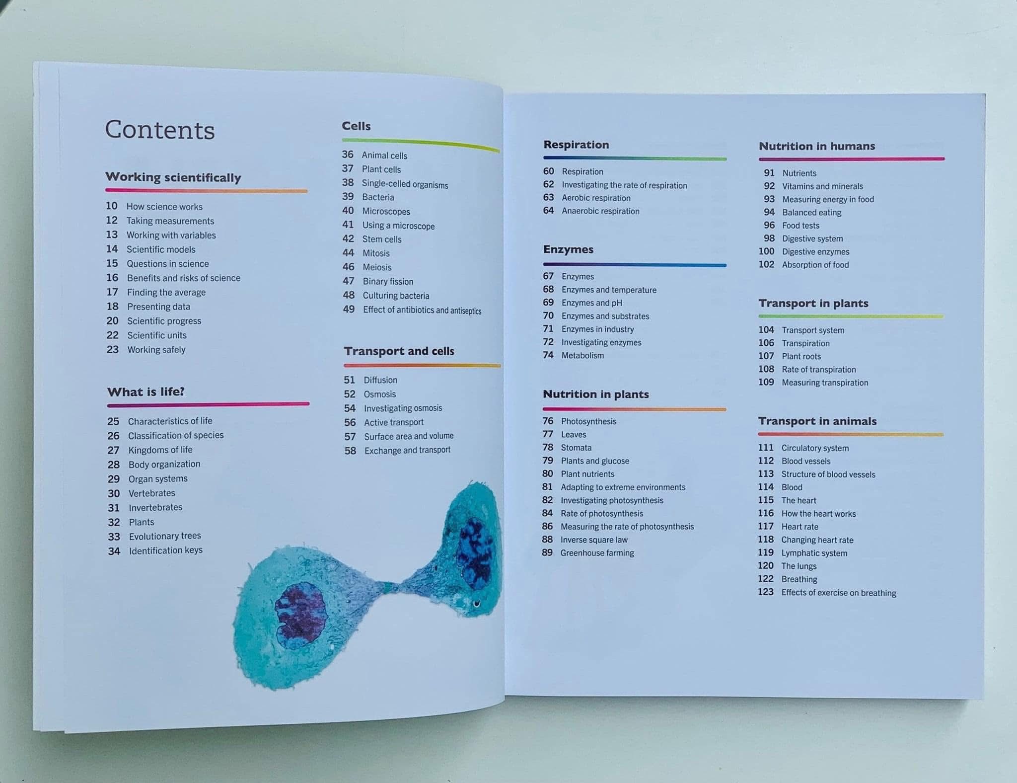 668529543_2004214637189447_7741512543492916258_n